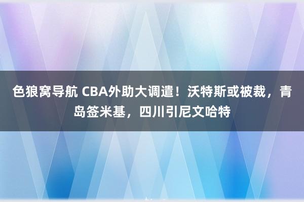 色狼窝导航 CBA外助大调遣！沃特斯或被裁，青岛签米基，四川引尼文哈特