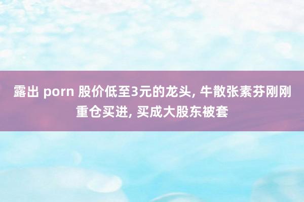 露出 porn 股价低至3元的龙头， 牛散张素芬刚刚重仓买进， 买成大股东被套