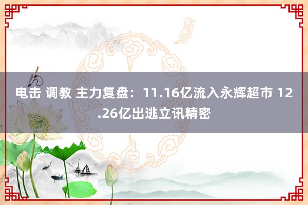 电击 调教 主力复盘：11.16亿流入永辉超市 12.26亿出逃立讯精密